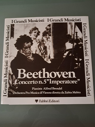Vinile grandi musicisti - vinile,